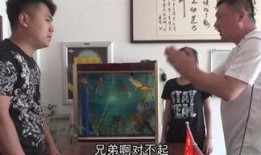 波哥村里人爆料视频大全,揭秘乡村生活百态